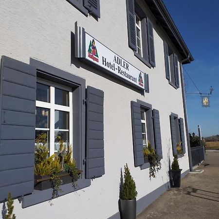 Hotel Landgasthof Adler Bad Krozingen Extérieur photo